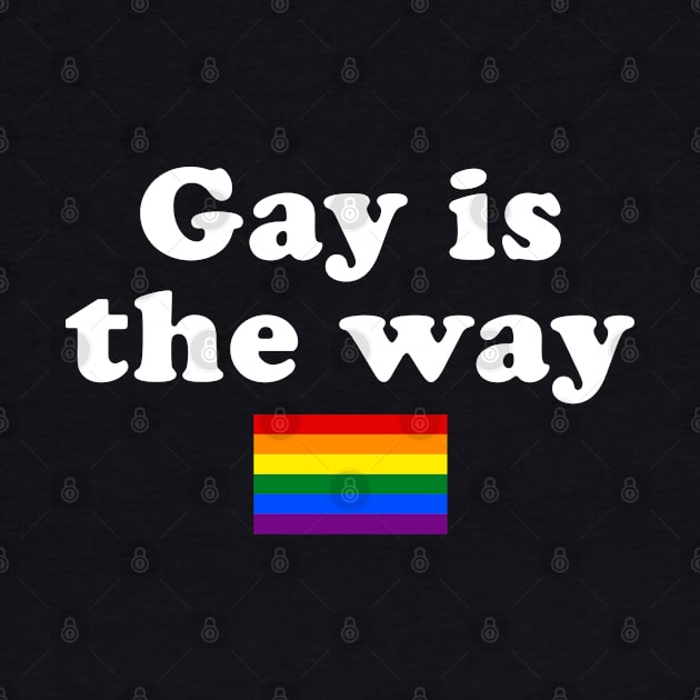 Funny Gay Gift LGBTQ Gift Pride Gift Gay Is The Way by kmcollectible